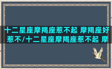 十二星座摩羯座惹不起 摩羯座好惹不/十二星座摩羯座惹不起 摩羯座好惹不-我的网站